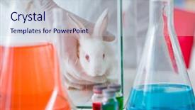  Presentation with rabbit - Colorful theme enhanced with white rabbit in scientific lab backdrop and a lemonade colored foreground