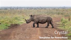  Presentation with kenya - Amazing presentation having white-rhinoceros-ceratotherium-simum-crossing backdrop and a coral colored foreground