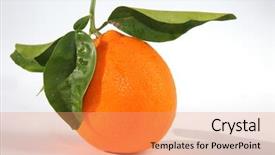  Presentation with 2018 goals text on white - Cool new theme with white room for text citrus backdrop and a coral colored foreground