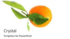  Presentation with 2018 goals text on white - PPT layouts featuring white room for text citrus background and a white colored foreground