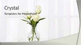  Presentation with flowers vase - Amazing presentation theme having white rose - beautiful bouquet of flowers backdrop and a sky blue colored foreground