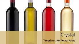  Presentation with white rose - PPT layouts featuring white rose and red wine background and a yellow colored foreground