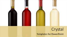  Presentation with white rose - Slide deck consisting of cheerful family on beautiful summer meadow enjoying learning from the book background and a coral colored foreground