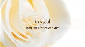  Presentation with bud - Amazing PPT theme having old color grunge vintage weathered background abstract antique texture with retro pattern modern futuristic painted wall for backdrop or wallpaper with copy space close up image 16 9 aspect ratio backdrop and a cobalt blue colored foreground