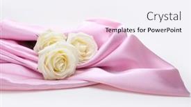  Presentation with pink pearl - Slide set enhanced with white-rose-flower-on-pink background and a  colored foreground