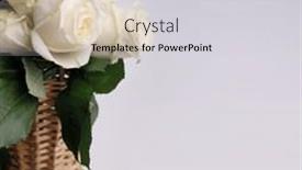  Presentation with wedding white - PPT theme consisting of white-rose-on-white-chiffon background and a light gray colored foreground