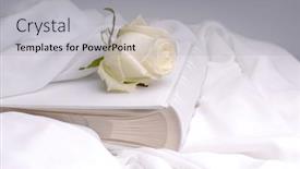  Presentation with white wedding - PPT theme having white-rose-on-white-chiffon background and a light gray colored foreground