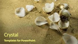  Presentation with gold dust - Beautiful theme featuring white rose petals on gold backdrop and a  colored foreground