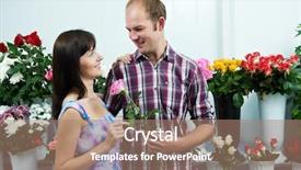  Presentation with flower - Beautiful presentation design featuring white rose presentation - man presenting flower to girl backdrop and a  colored foreground