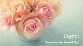  Presentation with white rose - PPT layouts having white roses in a vase background and a gray colored foreground