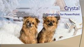  Presentation with winter scene - Presentation design with white rug in winter background and a sky blue colored foreground