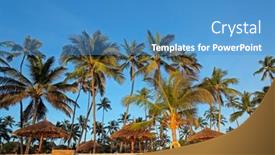  Presentation with zanzibar - Theme with white-sand-and-palm-trees background and a teal colored foreground
