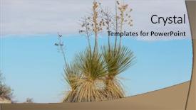  Presentation with mexic - Slides enhanced with white sands national monument new background and a lemonade colored foreground