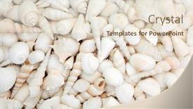  Presentation with seashell - Presentation theme featuring white-seashell-selection-forming background and a lemonade colored foreground