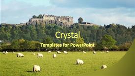  Presentation with sheep - Slide set featuring white sheep graze with stirling background and a tawny brown colored foreground