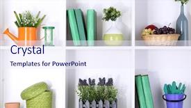  Presentation with white differene - PPT layouts with white shelves with different gardening background and a sky blue colored foreground