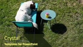  Presentation with summer sun - Beautiful PPT theme featuring white-shepherd-dog backdrop and a tawny brown colored foreground