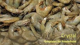  Presentation with shrimp - Cool new presentation with white shrimp backdrop and a tawny brown colored foreground