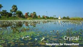  Presentation with rice fields - PPT layouts having white-small-flowers-on-flooded background and a ocean colored foreground