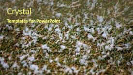  Presentation with white snow - Audience pleasing slide set consisting of white snow covers green grass frozen nature in winter time background above view backdrop and a tawny brown colored foreground