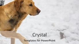  Presentation with space time - Slide set having white snow half front body background and a  colored foreground