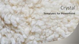  Presentation with wool - Beautiful PPT layouts featuring white soft wool background detail of a natural sheepskin rug backdrop and a light gray colored foreground