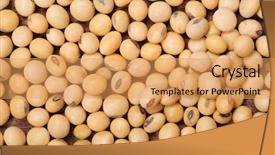  Presentation with soy milk - Beautiful PPT layouts featuring white soya beans on wooden backdrop and a  colored foreground