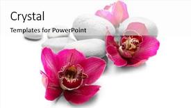  Presentation with orchid - Beautiful slide deck featuring white spa stones and red backdrop and a white colored foreground