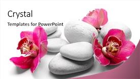  Presentation with orchids orchid red orchid orchid - Audience pleasing slides consisting of white spa stones and red backdrop and a white colored foreground