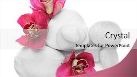  Presentation with orchid - Audience pleasing PPT theme consisting of white spa stones and red backdrop and a white colored foreground