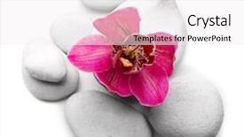  Presentation with orchid - Amazing theme having white spa stones and red backdrop and a  colored foreground