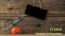  Presentation with spider web - Theme enhanced with white-spider-web-and-pumpkin background and a tawny brown colored foreground