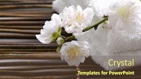  Presentation with bamboo flower - Amazing slide deck having white-spring-flower-blossom backdrop and a  colored foreground