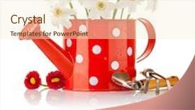  Presentation with flowers vase - PPT theme featuring white spring flowers in red vase isolated on white background background and a cream colored foreground