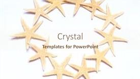 Presentation with starfish - Colorful presentation enhanced with white-starfish-on-a-white backdrop and a cream colored foreground