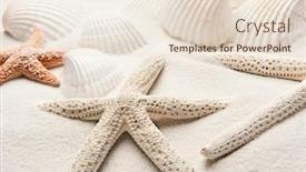  Presentation with white sand - Slide set with white-starfish-on-white-sand background and a lemonade colored foreground
