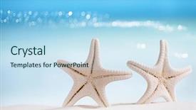  Presentation with fish beach - Amazing slides having white starfish with ocean beach backdrop and a sky blue colored foreground