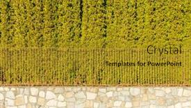  Presentation with green lawn - Presentation design having white-stone-fence-with-trimmed background and a  colored foreground