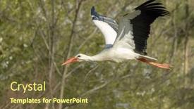  Presentation with france - Theme featuring white-stork-ciconia-ciconia-early background and a tawny brown colored foreground