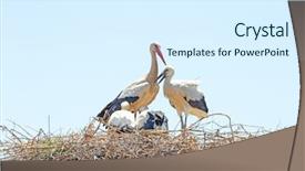  Presentation with baby food lebanese plaqts - Slide deck consisting of white stork with young baby background and a sky blue colored foreground