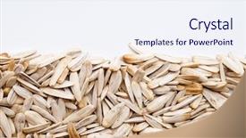  Presentation with sunflower sunflower sunflower sunflower sunflower - Audience pleasing slide deck consisting of white sunflower seeds backdrop and a sky blue colored foreground