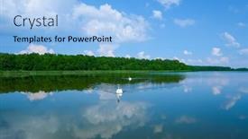  Presentation with green lake - Slide deck with white-swans-swimming-on-peaceful background and a light blue colored foreground