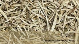  Presentation with tea plant - Cool new slide set with white tea closeup of chinese backdrop and a coral colored foreground