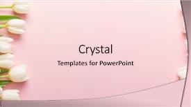  Presentation with david letterman top ten - Colorful presentation design enhanced with white tender tulips on lightpink backdrop and a lemonade colored foreground