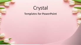  Presentation with david letterman top ten - Beautiful theme featuring white tender tulips on lightpink backdrop and a lemonade colored foreground