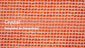  Presentation with white mulberry - Colorful theme enhanced with white thai mulberry lace paper backdrop and a coral colored foreground