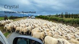  Presentation with world tourism - PPT theme consisting of white-thin-sheep-wool background and a light blue colored foreground