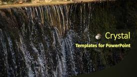  Presentation with bird hunting - Presentation theme with white-throated-dipper-cinclus-cinclus background and a wine colored foreground