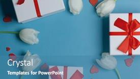  Presentation with blue tulip - Amazing slides having white-tulip-flowers-gifts-red backdrop and a teal colored foreground