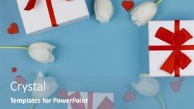  Presentation with red white blue - Colorful presentation design enhanced with white-tulip-flowers-red-hearts backdrop and a teal colored foreground